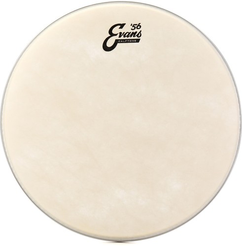 Evans calftone drumhead - drumhead, 14"